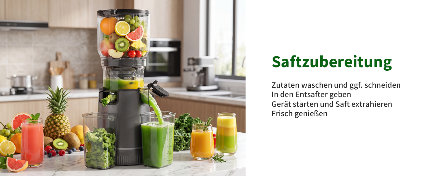 Шнекова соковижималка Entsafter Slow Juicer SJ-065, 400 Вт, XL-завантажувач 152 мм, Titanium Gray