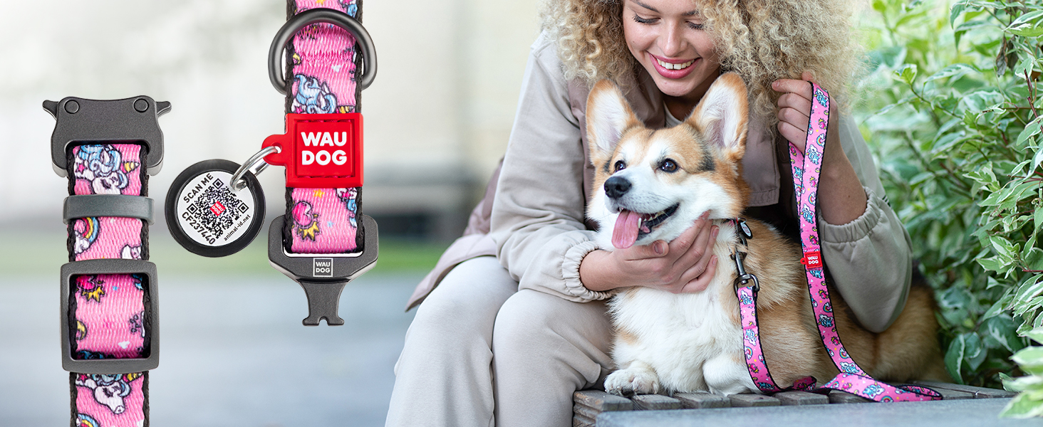 Нашийник для собак WAUDOG: шкіряний нашийник для великих, середніх та маленьких собак, цуценят. Ширина 15 мм, довжина 27-36 см. Чорний колір.