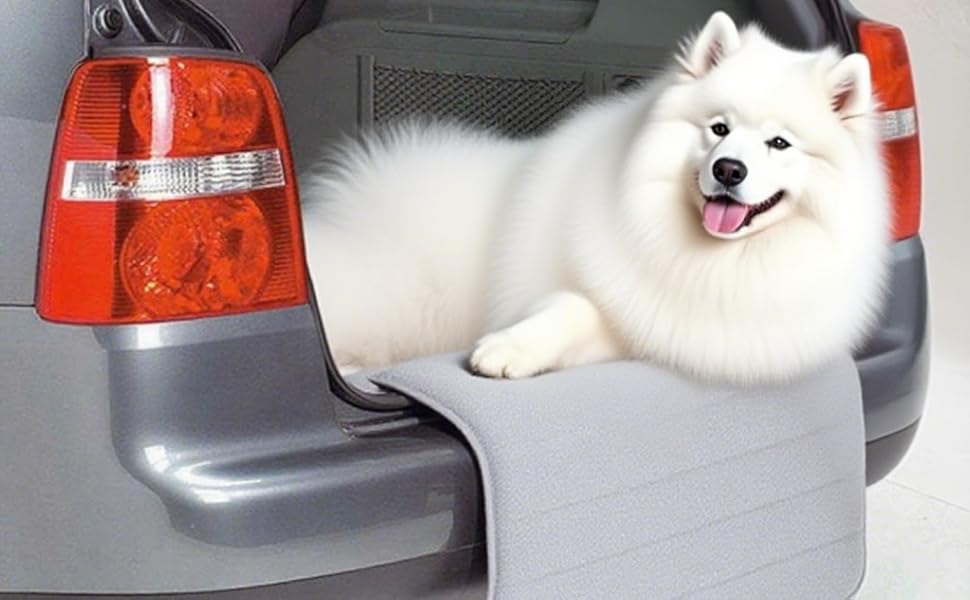 Захист для багажника автомобіля Big Ant для собак, амортизатор, сірий - підходить для будь-якого авто