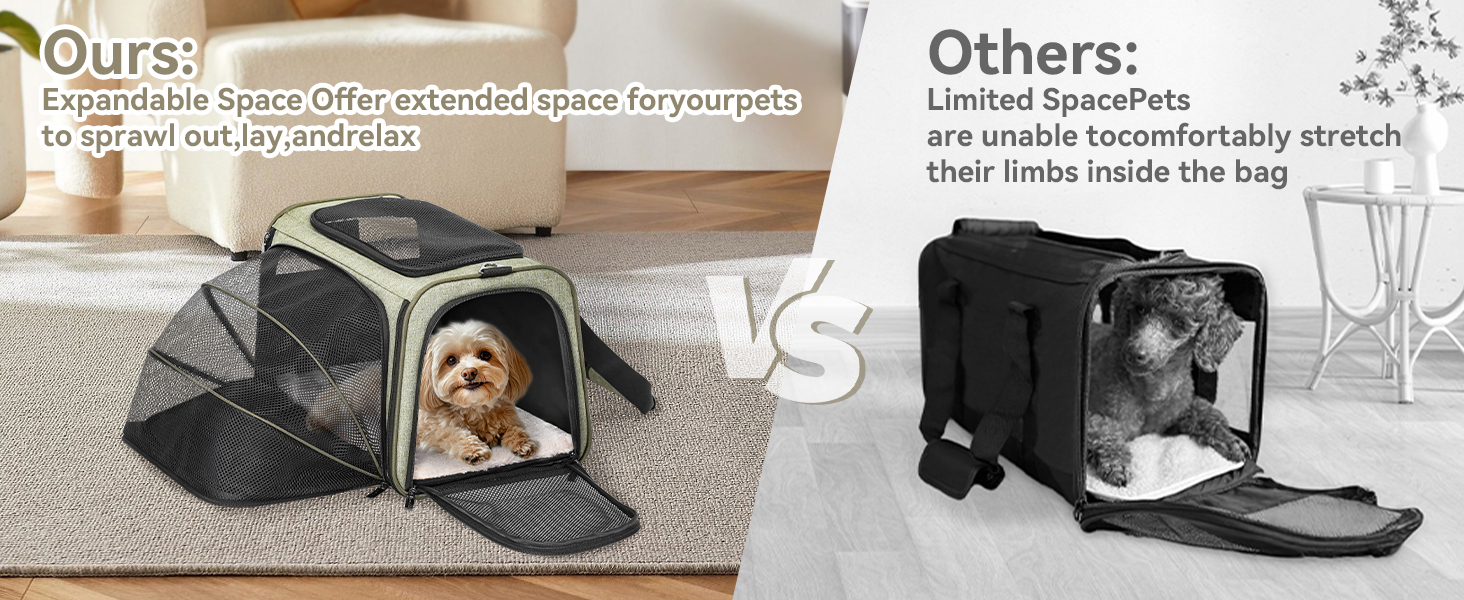 Транспортний бокс для кота/собаки Petsfit - складаний, зелений, M