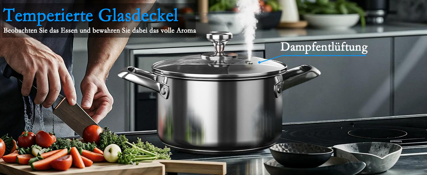 Набір каструль Induktion 12-частинний з нержавіючої сталі з тришасим дном, включає пароварку, 3 захисні диски для сковорідок та кухонне приладдя, безпечний у духовці до 250°C та придатний для миття в посудомийній машині, для всіх типів плит