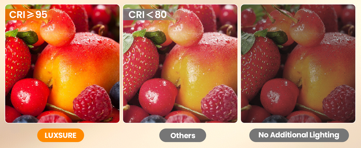 Кріплення для смартфона на штативі з кільцевим світлом для кухні та фуд-відео – штатив з кільцевим світлом для столу | Кільцеві лампи для кухні, випічки, зйомки рецептів, відеозйомки, стріму, контент-мейкінгу, 10 дюймів для столу (10 дюймів для підлоги)