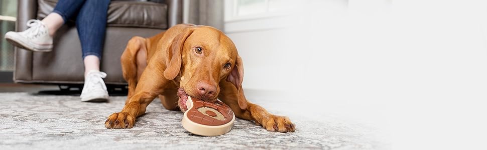 Перегородка для собак PetSafe Metall в автомобіль, сумісна з більшістю авто та мінівенів