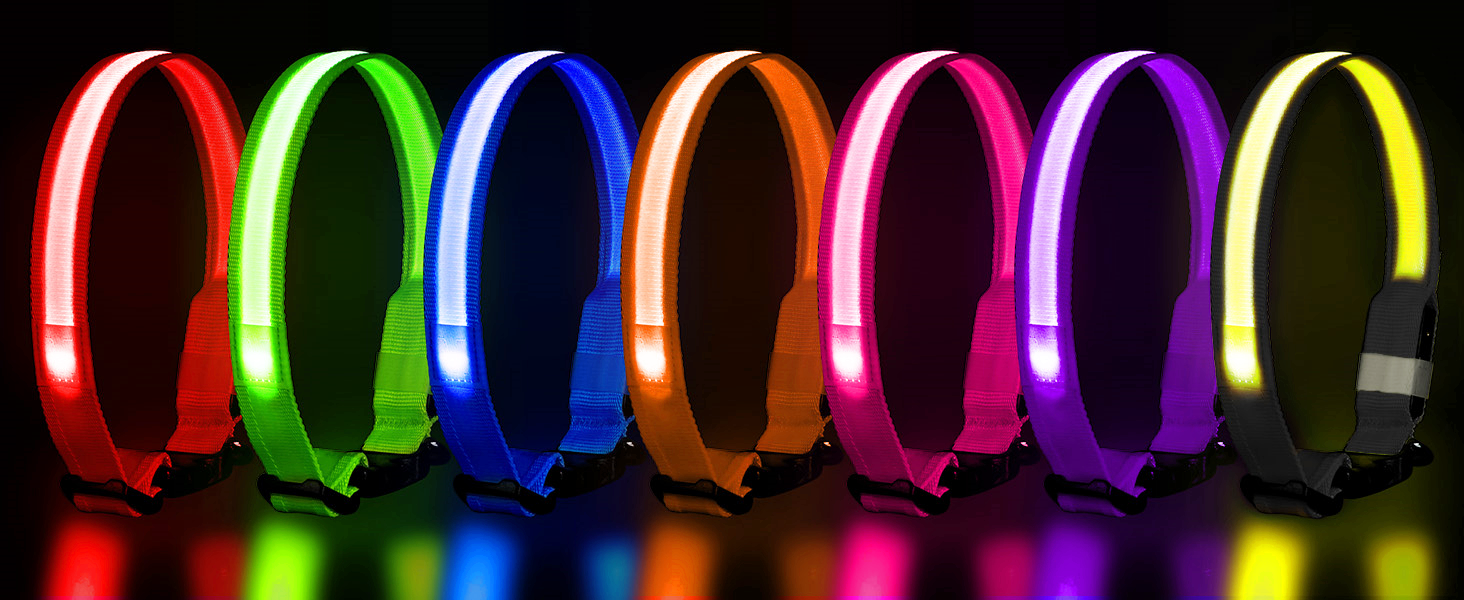 LED нашийник для собак з підзарядкою, вологостійкий світлодіодний нашийник, 7 кольорів, регульований для малих та великих собак, блакитний (L)