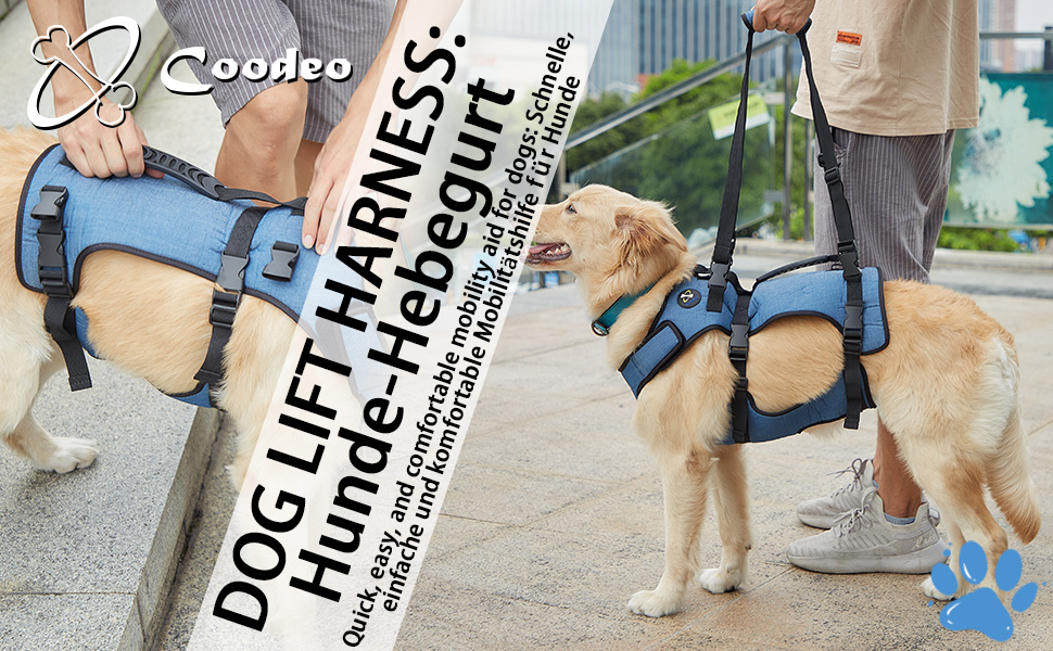 Підтримка для собак COODEO - дихаючий реабілітаційний пояс для літніх собак з проблемами суглобів, артритом або паралічем, повна підтримка тіла з регульованими ручками (Блакитний, L)