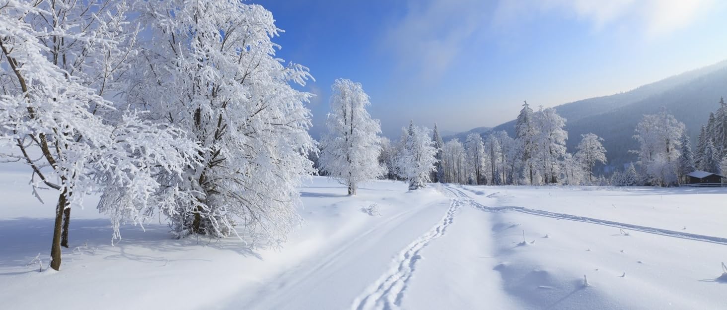 Powerbank Starthilfe 4000A: Зарядний пристрій для авто, SUV та мотоциклів з LED ліхтариком. Підходить для бензинових двигунів до 9.0L та дизельних до 7.0L