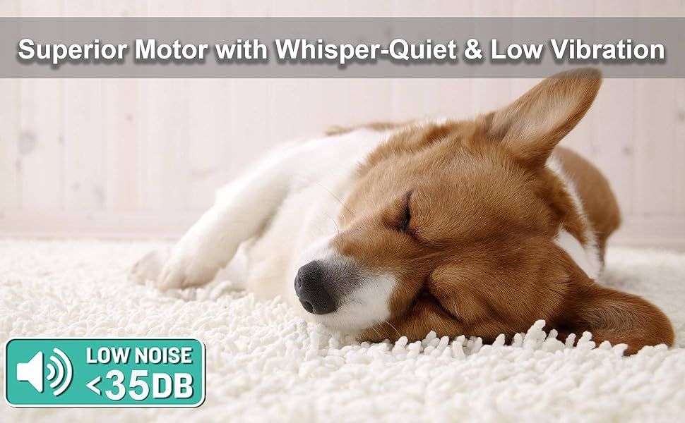 Електричний точило для кігтів собак та котів з LED-підсвічуванням та 2 колесами, точило для кігтів домашніх тварин, тихе та потужне, з низькою вібрацією, біле з LED-підсвічуванням