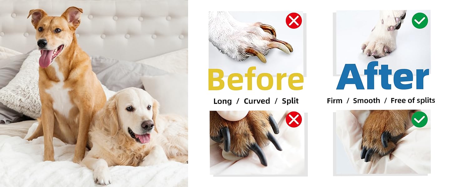 Електричний точилка для кігтів собак Casfuy - 6 режимів, 45 dB, з LED-підсвіткою, для великих, середніх та маленьких собак, з захистом від пилу (білий, фіолетовий)