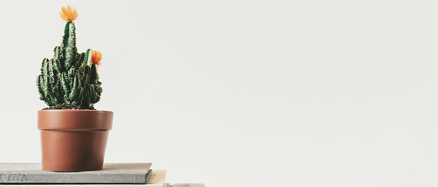 Стійка для одягу KZOBYD з полицями, чорна, металева, з 4 регульованими полицями для верхнього одягу, суконь та взуття