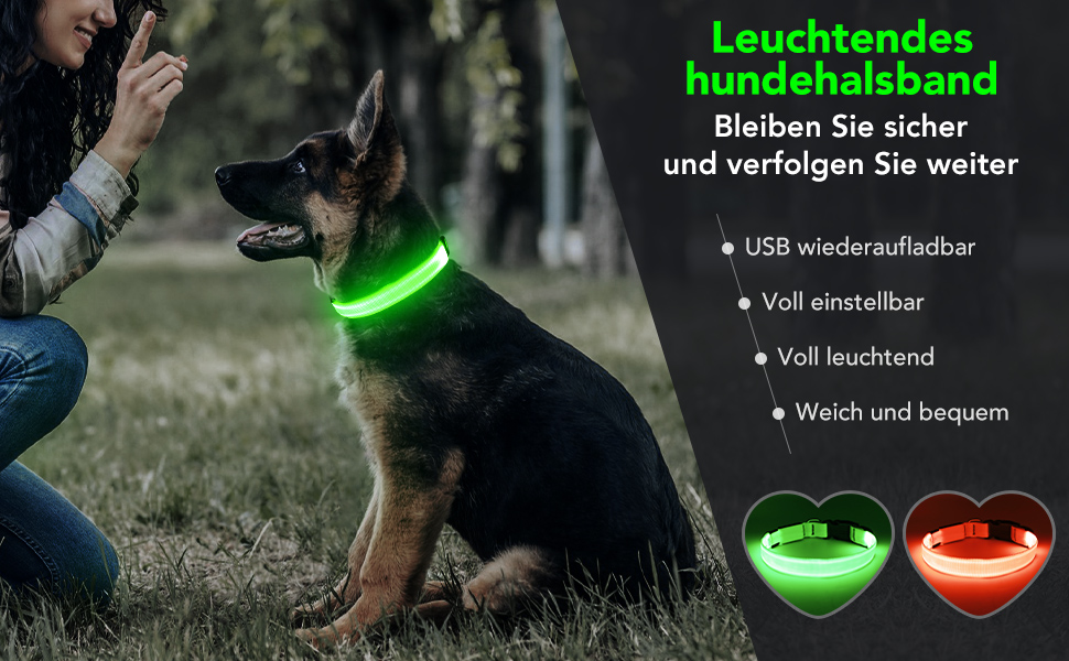 LED-нашийник для собак, перезаряджається через USB, водонепроникний, яскравий, регульований, для середніх та великих собак (зелений, M)