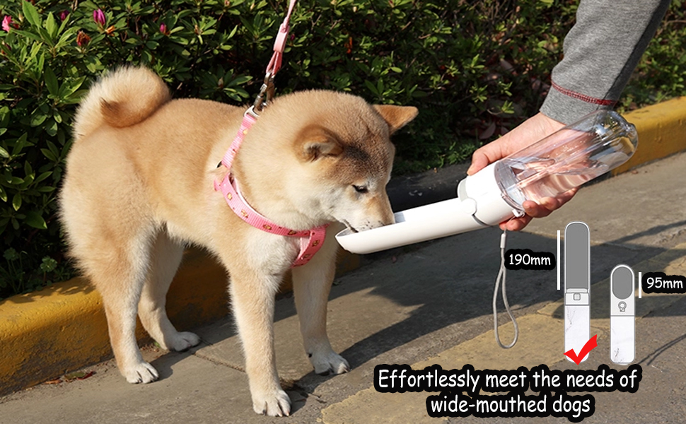 Складана пляшка для води для собак та котів, портативна, для прогулянок, подорожей та активного відпочинку