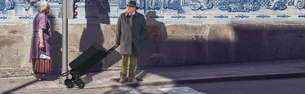 Складна господарська сумка-візок VOUNOT для покупок, триколісна, для сходів, водонепроникна, знімна, чорна