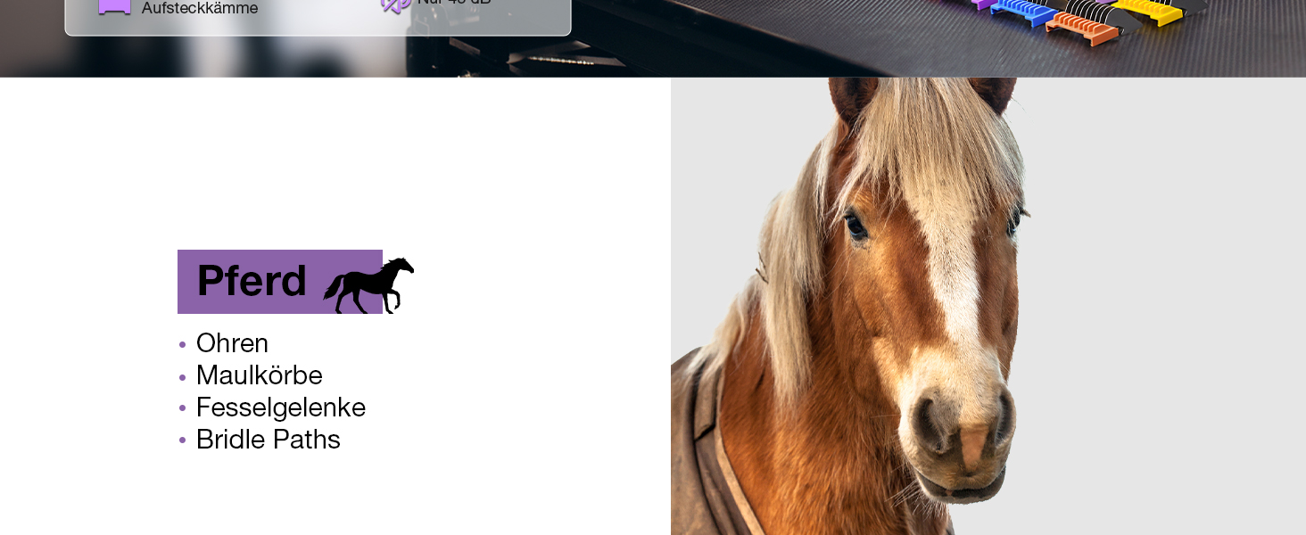 Професійна машинка для стрижки собак з запасним лезом, 5-в-1, фіолетовий колір