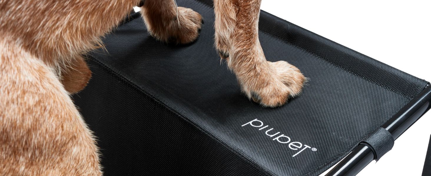 Foldable Dog Stairs - Mobile Car Step for Large & Small Dogs - Waterproof PVC Pet Ladder for Safety & Comfort