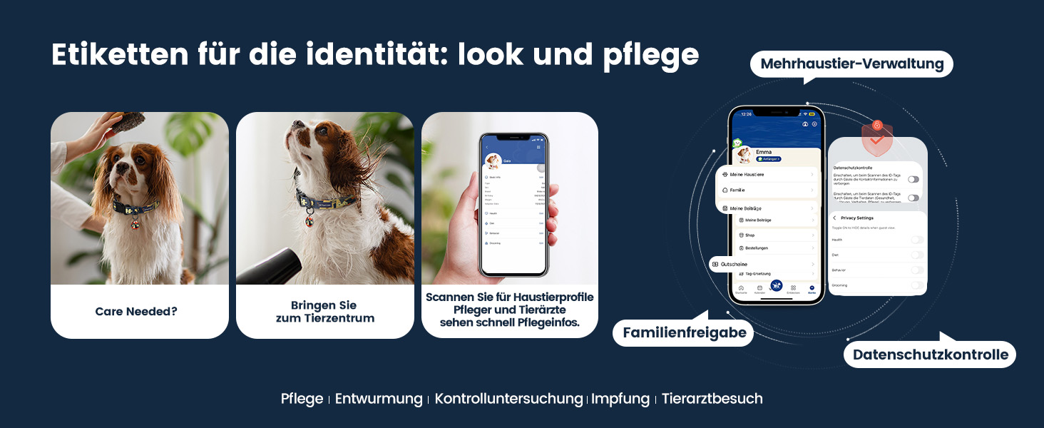 Набір повідка та нашийника для собак, регульований, чорний, S (28–43 см, 1.5 м)