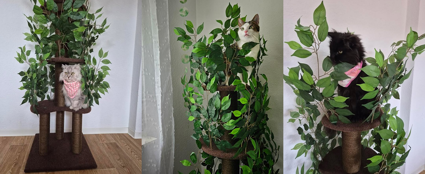 Дерево для котів з листям – Стабільний та компактний – 4 поверхні для дряпання та 3 стовпчики – Ідеально для лазіння, ховання та сну – Легка збірка – Безпечний та довговічний cat tree з натуральних матеріалів