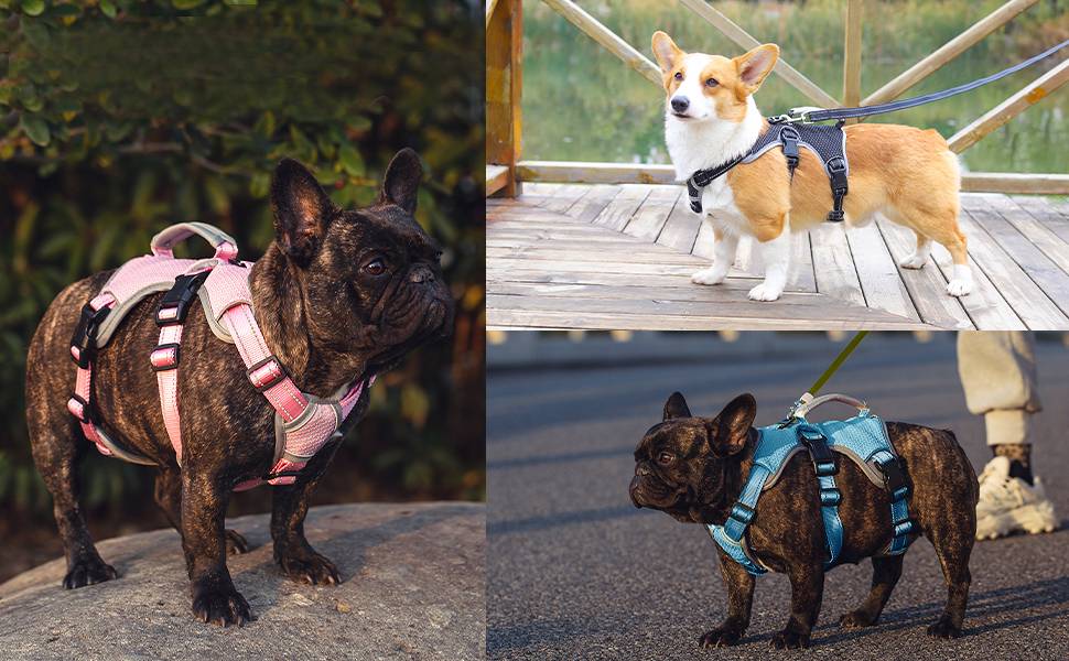 Шлейка для собак BELPRO, багатоцільова, анти-вислизання, світловідбиваюча, регульована, міцна, з ручкою, для великих/активних собак (Чорний, L)