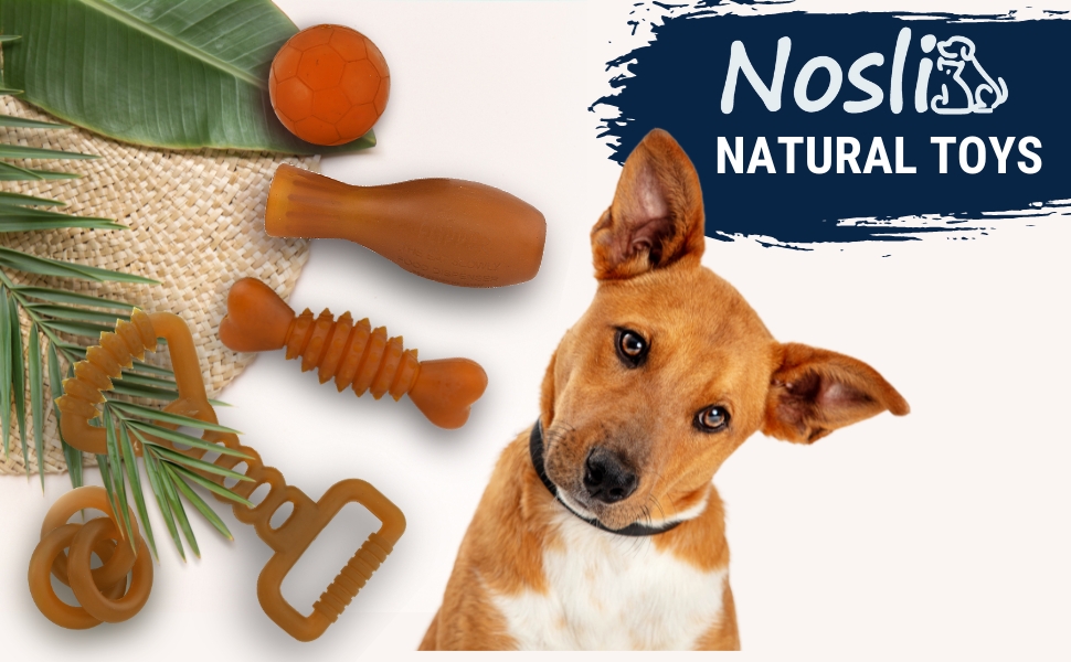 Набір іграшок для собак Natural Toys з натурального каучуку, для догляду за зубами, кидання, перетягування та розвитку інтелекту, 4 шт.