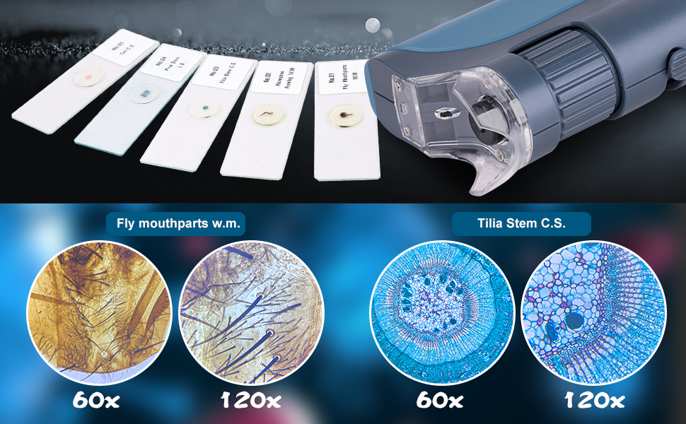 BEBANG Кишеньковий мікроскоп 60x-120x з LED-підсвічуванням, ручний міні-мікроскоп для дітей, студентів та дорослих, для мікробіологічних спостережень