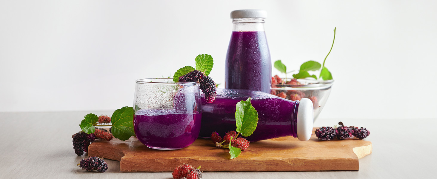 Соковитискач CelerySpec Slow Juicer - переможець тесту, для цілих овочів та фруктів, 130 мм, 1.8л, BPA-free, 250W, з функцією зворотного ходу, нержавіюча сталь, чорний