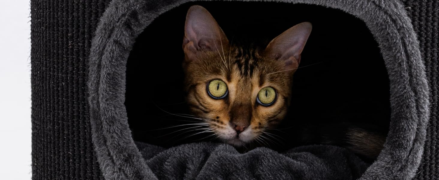 Кігтеточка Petrebels Dome, 80 см, чорна: стабільна та міцна