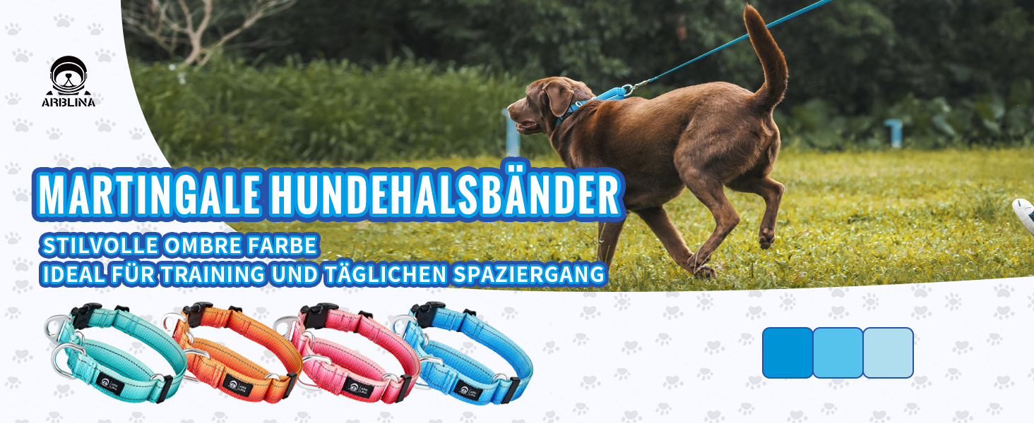 Нашийник для собак Martingale, світловідбиваючий, з зупиняючою функцією, для великих, середніх та маленьких собак, нейлон, блакитний, розмір L