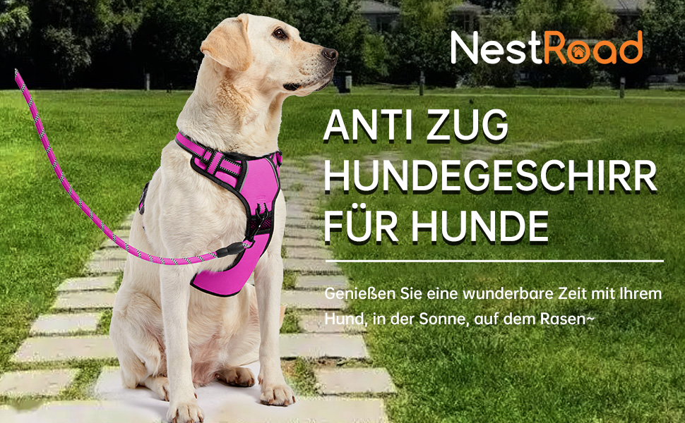 Нашийник для собак середніх порід NESTROAD, розмір M, анти-тяга, обхват шиї 33-43 см, обхват грудей 43-64 см, безпечний, з підкладкою, колір: рожевий
