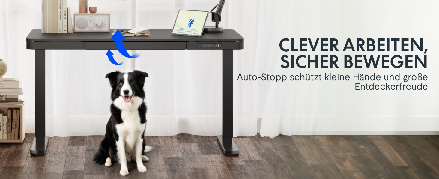 FLEXISPOT Electric Standing Desk with LED Display, Memory Function, USB Port & Drawer - 140x70cm, Luxury Black