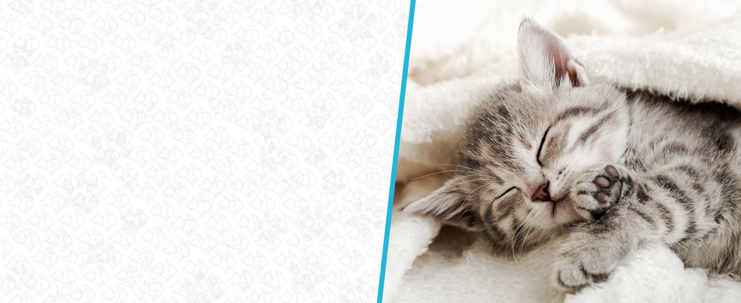 Професійні ножиці для обрізання кігтів собак та котів Candure з пилочкою, нержавіюча сталь, безпечний захист, 15 см, блакитний (XS)