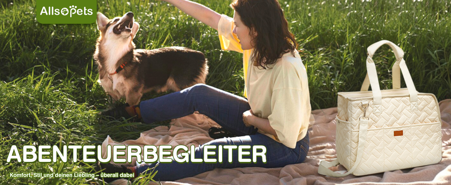 Транспортна переноска для котів та собак, переноска для тварин, сумка-переноска для собак та котів, аксесуари для подорожей, переноска для цуценят, регульований поводок (Сріблястий, L)