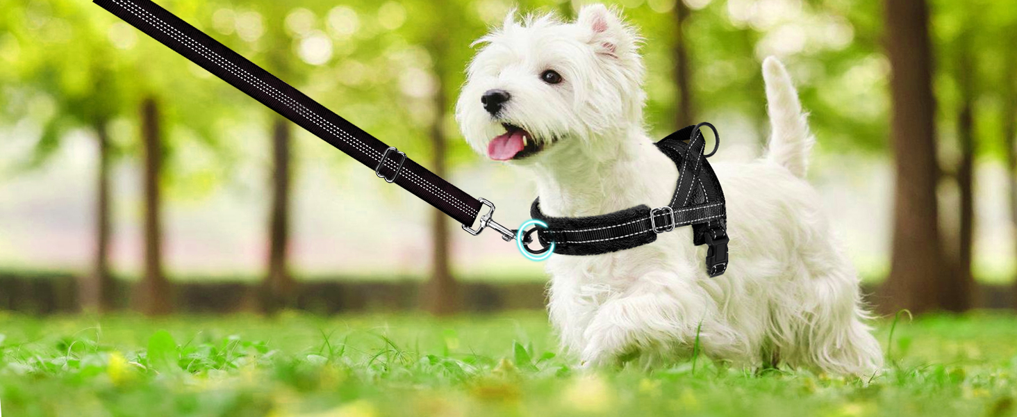 Шлейка для собак середнього та малого розміру з повідком, м'яка, не тягне, чорна, розмір S