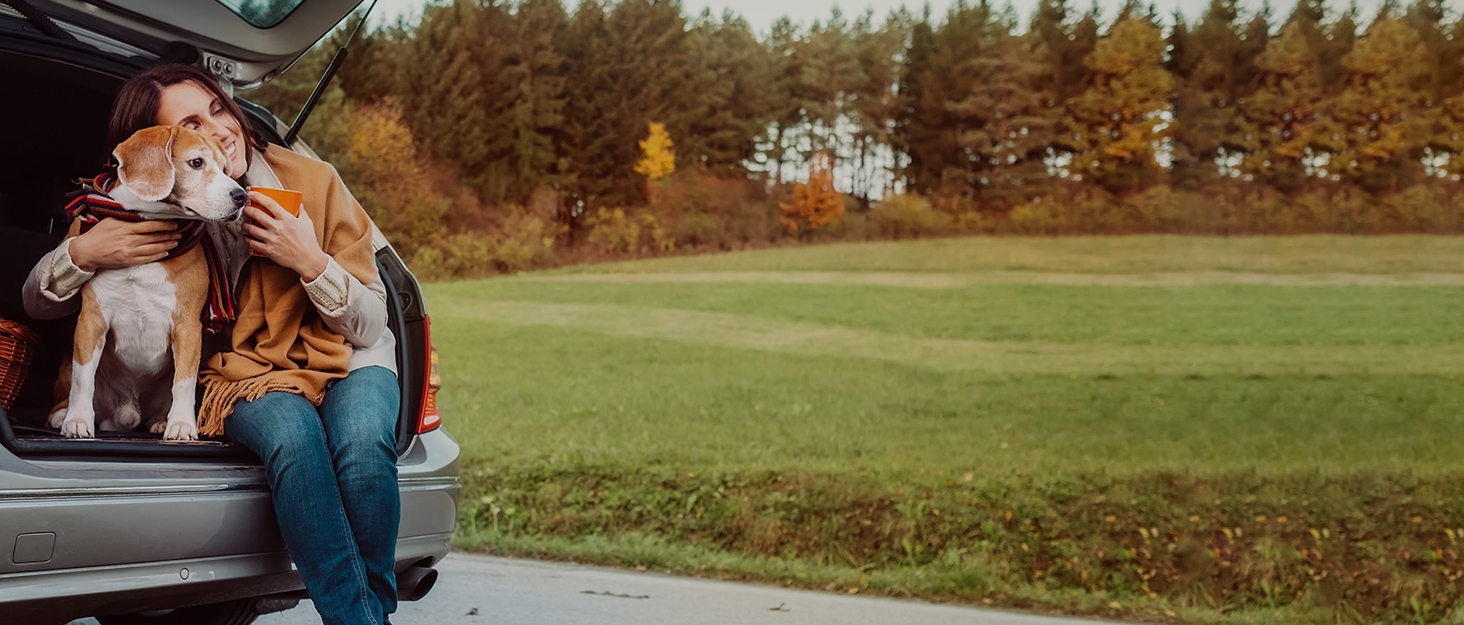 Рампа для собак Liekumm, телескопічна, до 90 кг, 99-182 см, алюміній, для легкових автомобілів, позашляховиків, вантажівок