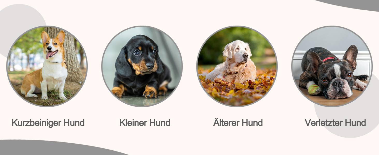 Сходинки для тварин Galatée: 3-ступеневі сходи з щільного пінополіуретану, знімний чохол на блискавці, для собак та інших домашніх тварин (Світло-коричневий)