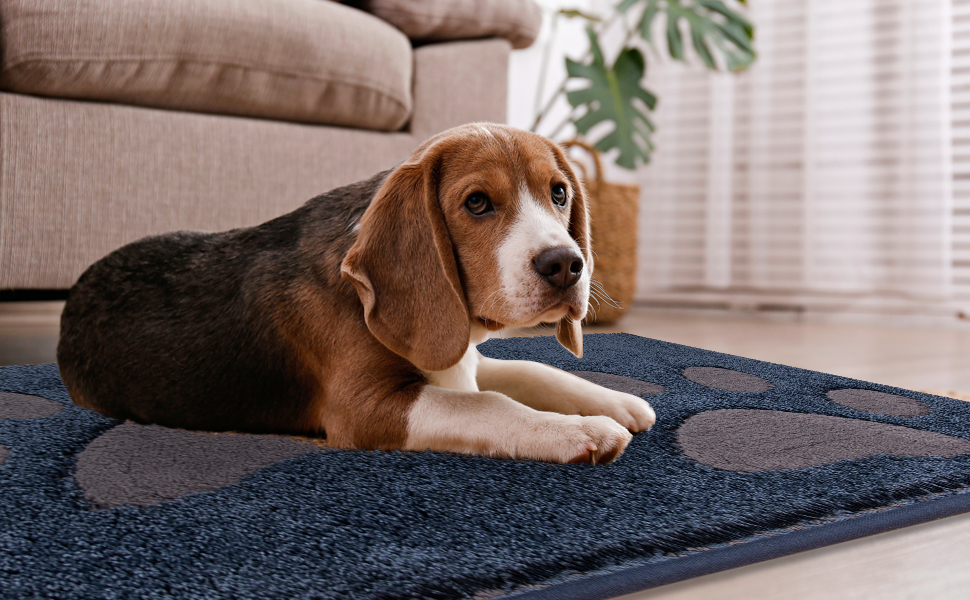 Килимок для дому FCSDETAIL, 50x80 см, миючий, водонепроникний, з антиковзаючою поверхнею, для собак та вологих лап (Темно-синій)