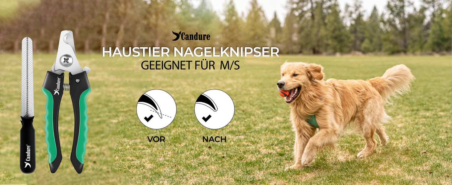 Професійні когтерізки для собак та котів Candure з пилочкою, нержавіюча сталь, 15 см, безпечний захист