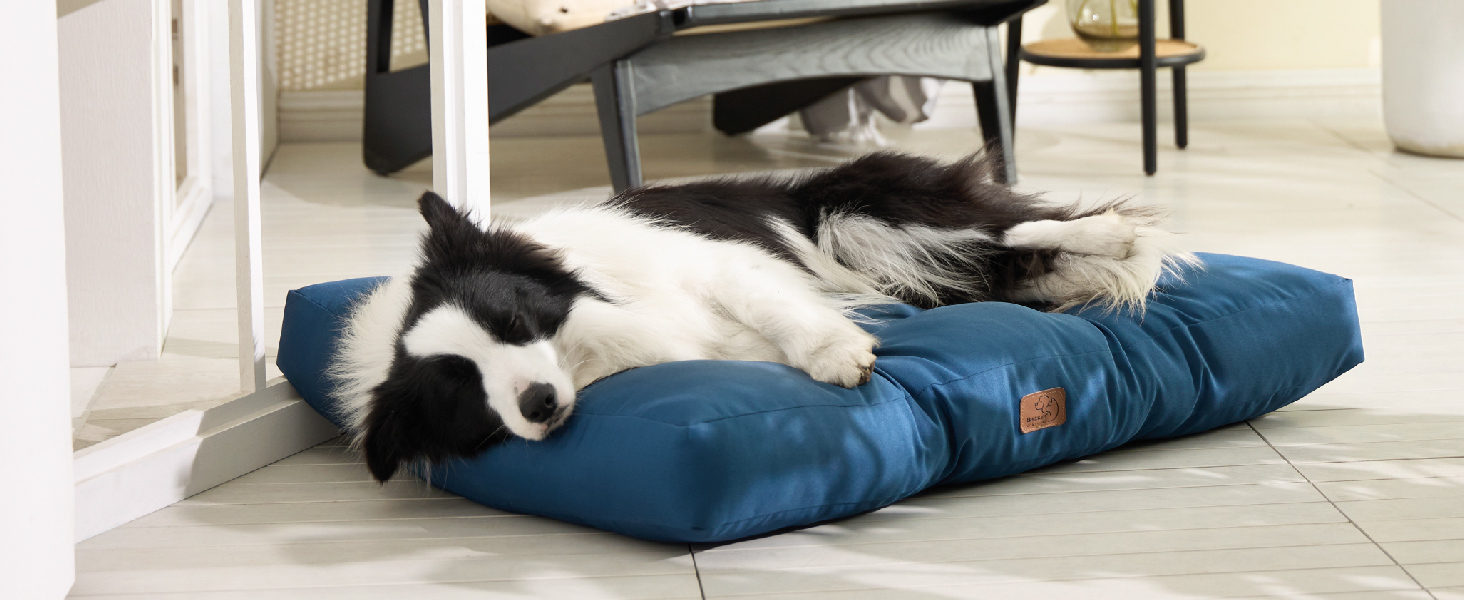 Килимок для собак BEDSURE 76x50 см - м'який, миючий, для маленьких та середніх собак, 10 см заввишки (чорний)