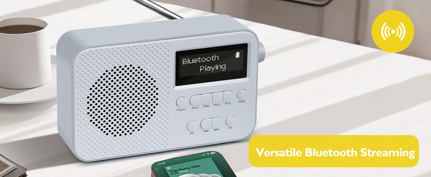 Портативне цифрове радіо LEMEGA PR2-Max DAB+/FM, Bluetooth 5.3, живлення від батарейок AA, сіре