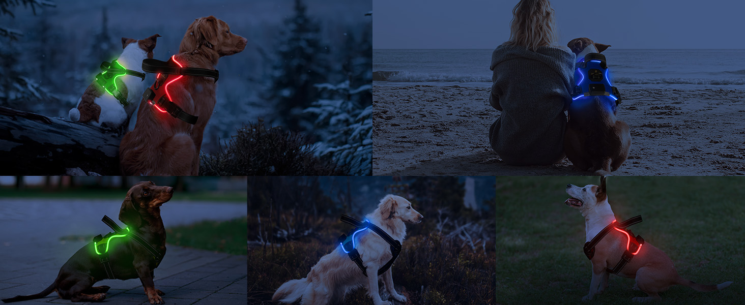 Шлейка для собак Masbri світловідбиваюча, регульована, з ручкою, м'яка підкладка, світловідбиваюча, для собак середніх та великих порід, чорно-біла, TC3005B (XL, Синій)