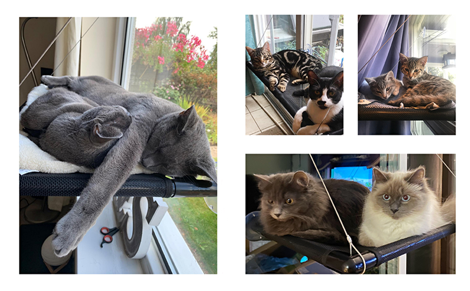 Кішка-гамак для вікна Dracarys | для великих котів до 20 кг | Посилений гамак з міцним присоском | Ліжко для засмаги кота, ліжко для домашніх тварин, підходить для вікон довжиною ≥76 см та висотою ≥64 см, розмір L-68*38*58 см