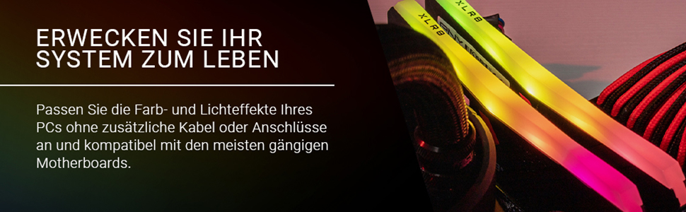 PNY XLR8 Gaming Epic 32GB (2x16GB) DDR4 3200MHz Оперативна пам'ять для ПК RGB Чорний