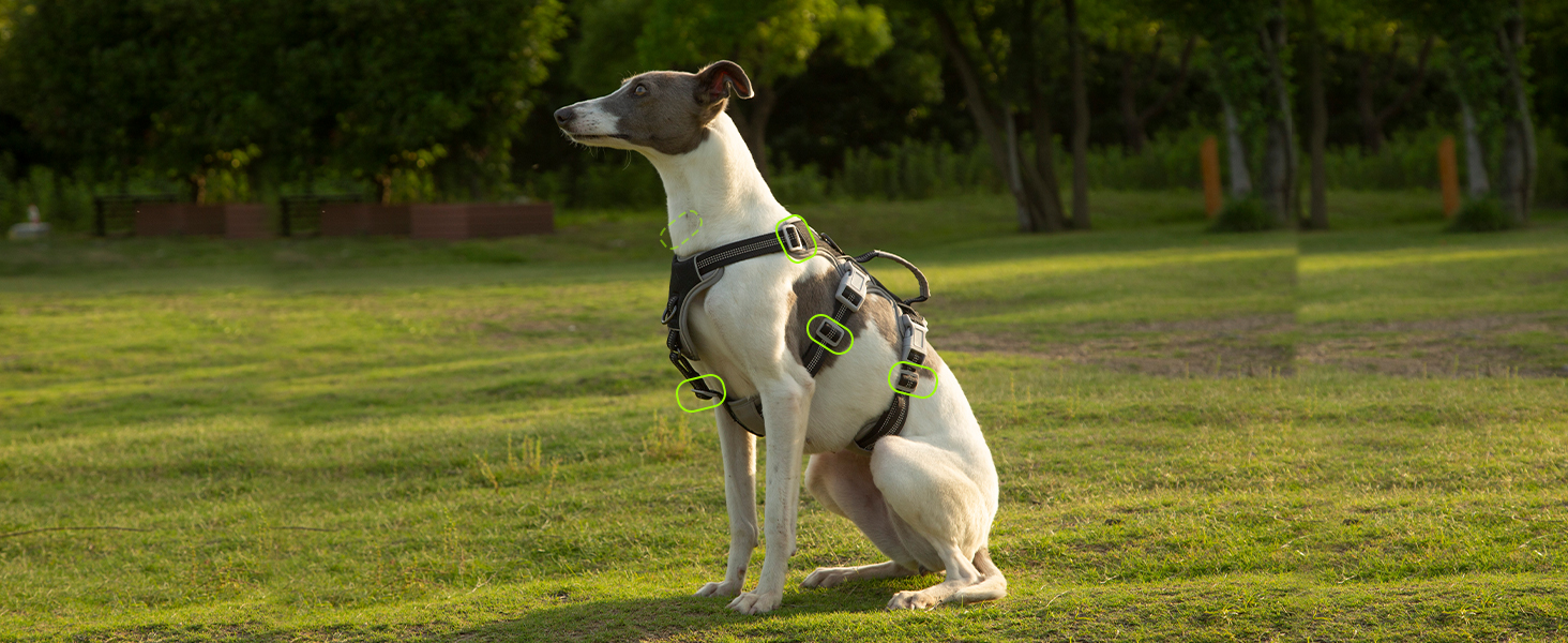 Нашийник для собак Huntboo, великі породи, анти-злам, світловідбиваючий, водонепроникний, регульований, для прогулянок та бігу (Чорний, L, упаковка з 1)