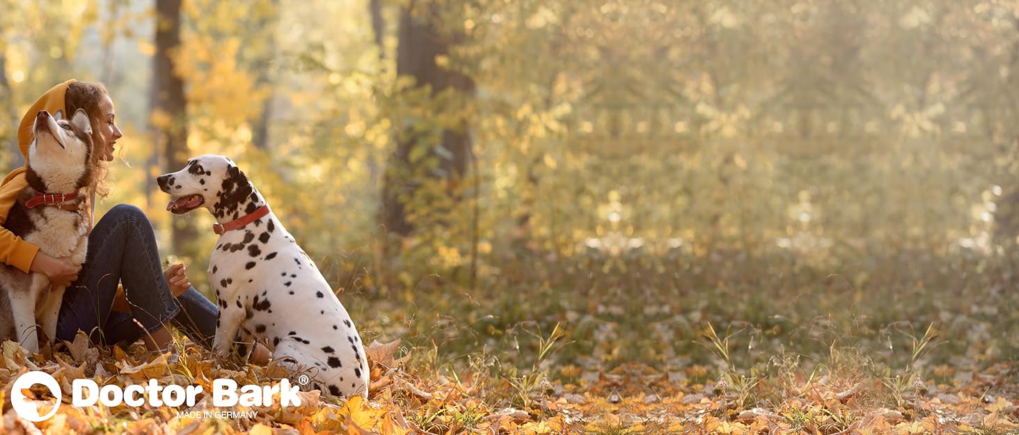 Підстилка для собак Doctor Bark з флісу, двостороння - м'яка та міцна, для великих собак. Можна прати до 95°C. Якісна підстилка для дому та вулиці (XL - 120x100 см, Бежевий/Зелений)