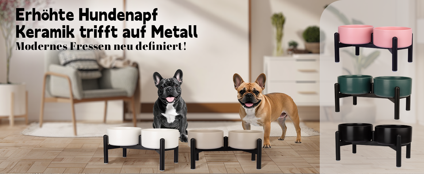 Elevated Dog Bowls Set - Ceramic Double Food Bowls with Stainless Steel Stand - Ideal for Small & Medium Dogs - 850ml x 2 - Black & Grey