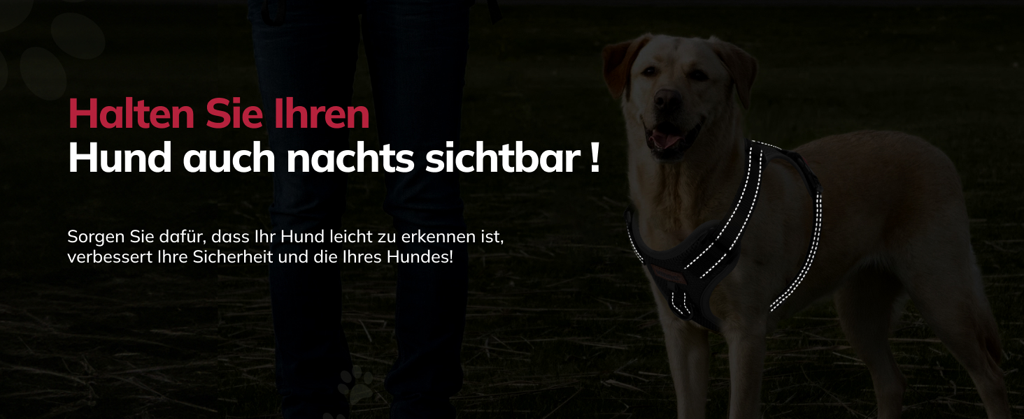 Шлейка для собак FAYOGOO, без чіпкості, з переднім кріпленням, світловідбиваюча, регульована, м'яка, з підкладкою, для малих, середніх та великих собак, для прогулянок (Блакитна, S)