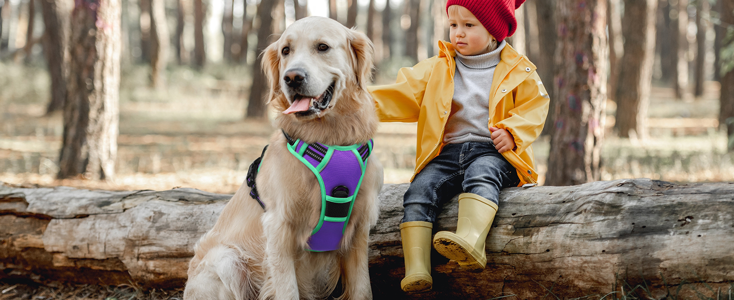 Шлейка для собак великих порід Eagloo, анти-тяга, з відбиваючими смугами, регульована, для Лабрадора, L (1 шт, м'ятно-зелений & фіолетовий)