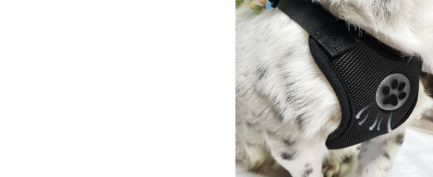 Автомобільний нашийник для собак з кріпленням для безпеки, 2 карабіни, регульований, дихаючий (Чорний, M)