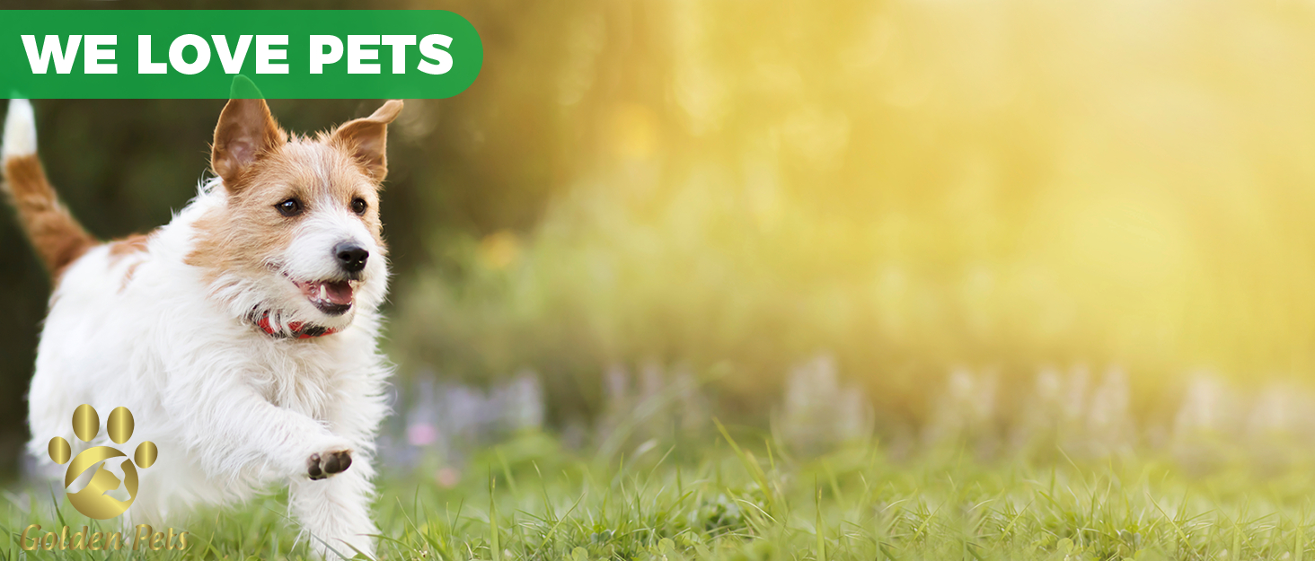 Гребінець для собак та котів Golden Pets Entfilzer Kamm - для середньої та довгої шерсті, 9 лез + електронний посібник з догляду