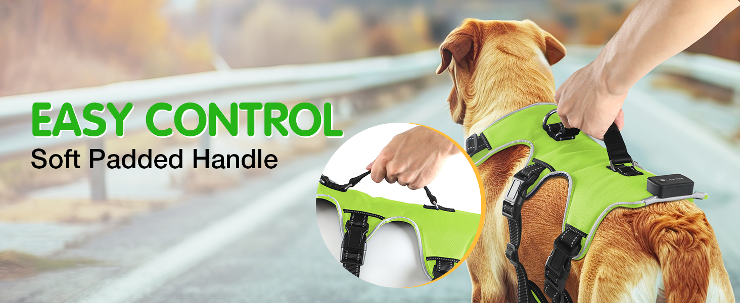 Світловідбиваючий нашийник для собак Jewyow з LED, перезаряджуваний, водонепроникний, 3 режими, зелений, розмір M