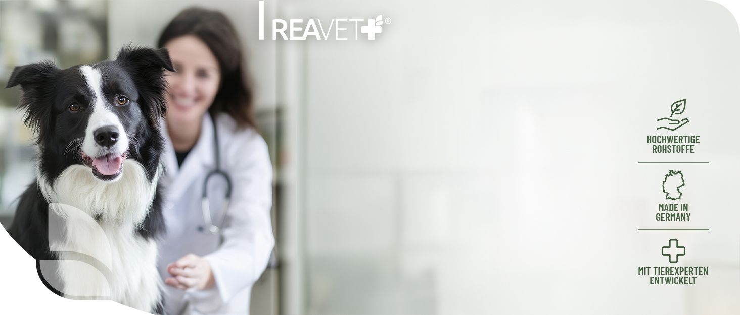 Ножиці ReaVET для обрізання кігтів котів, собак, цуценят та дрібних тварин - ідеальні для щільно прилеглих кігтів. Зручні, легкі та стабільні.