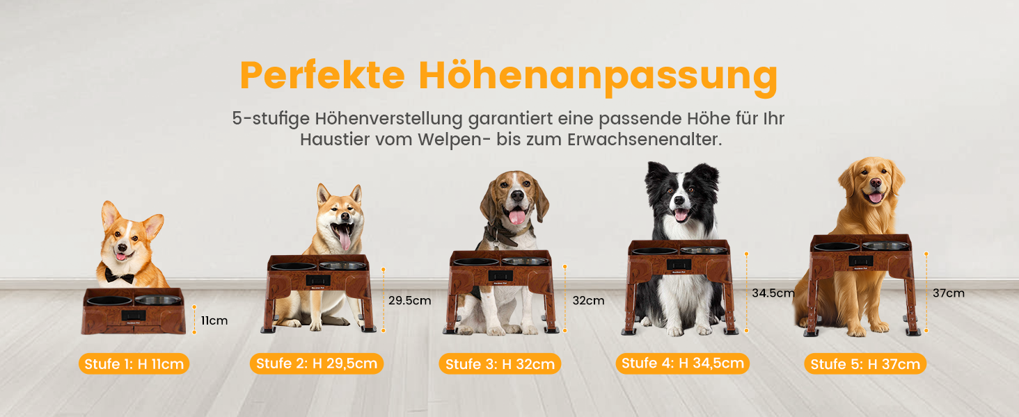 Підвищена годівниця для собак Gardner 2-в-1: миска для води без розливу та миска для повільного годування з регульованою висотою, 5 рівнів, протиковзна, для середніх та великих собак